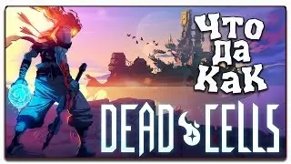 ЧТО ДА КАК в Dead Cells [Early access]