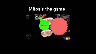 mitosis the game 100k score