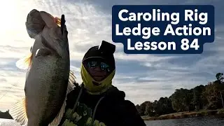 Bass Fishing 202-Lesson 84: Carolina Rig Ledge Action #Short