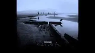 Subheim - Streets (Remix By Brazda Lui Novac)