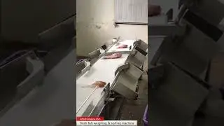 high efficient fresh fish weight grading and sorting machine