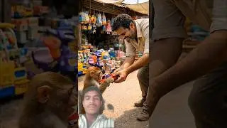 A monkey steals a toy car for his child #ai​ #baby​ #monkey​