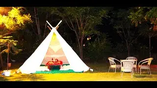 Wow - Relish in the Wild, Best Hotel near Sariska National Tiger Reserve, at Riverside location