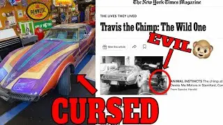 Bought a $300 “Cursed” Corvette On Facebook Market Place (Cool Story) - Travis The Chimp