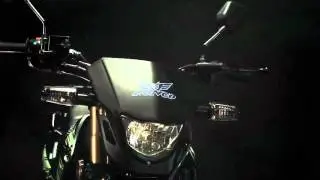 Motos Ronco - Demolition 250