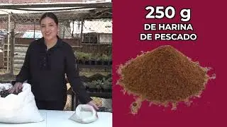 06 Té De Composta