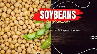 SOYBEANS TOP PRODUCERS, EXPORT & IMPORT COUNTRIES WORLDWIDE - SOYABEANS GLYCINE MAX