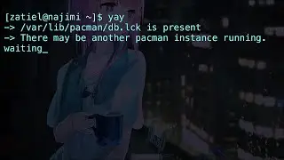 Pacman DB Lock File Error | Arch Linux and Derivatives SOLUTION