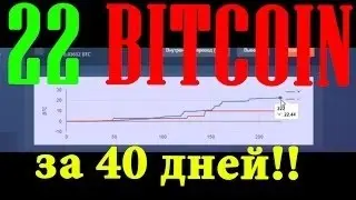 бот +для primedice 2017 V2 обновлен 13 02 17