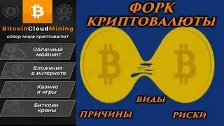 Что такое форк криптовалюты: причины, виды и возможные риски
