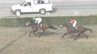 4th Race The Metropolitan fillies Trial Cup Distance 1400 Meters Winner Qaswa Princess