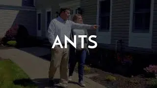 Home Pest Control Programs   NJ Pest Control