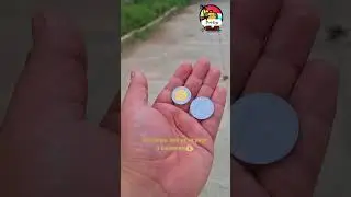 Viajar en Micro en Bolivia 🇧🇴 | Santa Cruz, Pasajes y Curiosidades 🚌🐶