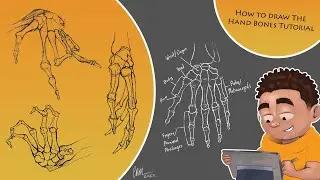 How To Draw The Hand Bones Tutorial | Using Simple Shapes
