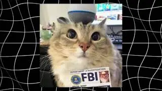 НОВОСТИ ПО SCP CLASSIFIED SITE | 22.08.25