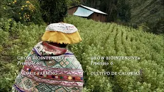 7: Calorie Farming