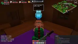 Cubeworld server Gameplay