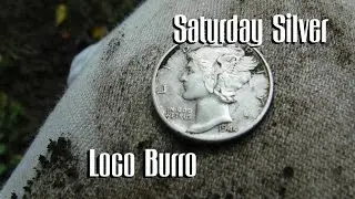 Saturday Silver - XP Deus at the Hunted Out Park