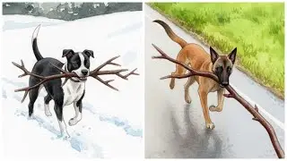 These Dogs Are Obsessed With Sticks 😂