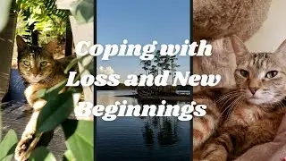Coping with Loss | Moving Forward and a Fresh Start