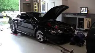 Mustang GT 2V Dyno Pull - 600 RWHP
