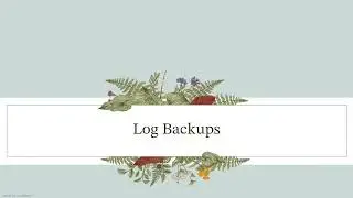 Sybase Database backups