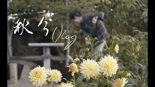 SUB)秋分 | Autumn Equinox Harvest home gardening #withme | Sweet Rice Dumplings 黑芝麻汤圆 | Seasonal Vlog