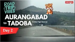 Aurangabad to Tadoba: The Ultimate Tiger Adventure! | Epic Road Trip & Safari #Tadoba #TigerReserve
