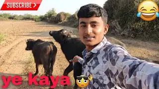 Khet Se Ghar Bhesh Lekar Ja Raha Hu 🐃 | Gaav Life vlog