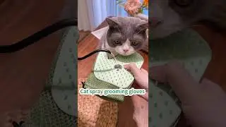 Cat spray grooming gloves #cat #bestpetsupplies #catcare