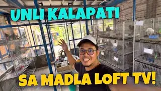 LIPAT BAHAY KALAPATI SA DREAM LOFT!