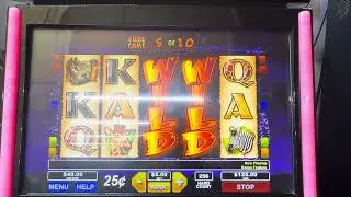 WILD LIFE ACTION 🐅🐗🐘 $5 MAX BET