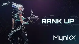 How to Improve 