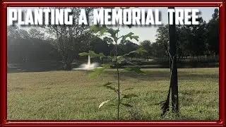 Planting A Memorial Tree
