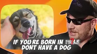 Pets You Should Avoid Based On Your Astrology Sign