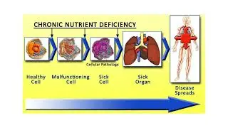 Micro Nutrients,  a key to good health