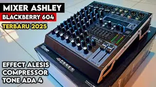 Mixer Ashley Blackberry 604 Original