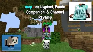 Getting MVP+ On The Hypixel Server, Panda Companion & Channel Revamp (PC Minecraft)