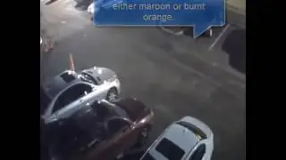 Virginia Beach Police release Aqua Lounge shooting video
