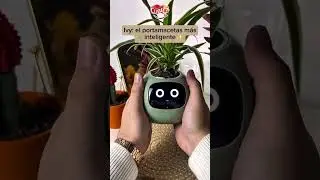 MACETA INTELIGENTE IVY