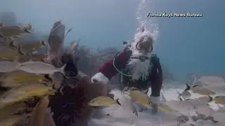 Meet this scuba-diving Santa Claus