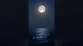 ocean sound of 2023