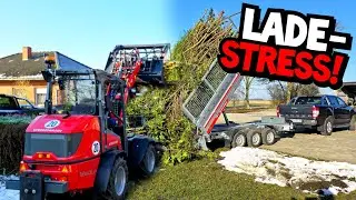 DAUEREINSATZ für WEIDEMANN 1260LP und TEMARED TRIDEM KIPPER! | STRÄUCHER OHNE ENDE! | Mr. Moto
