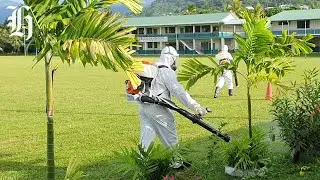 Dengue fever warning for Pacific travellers