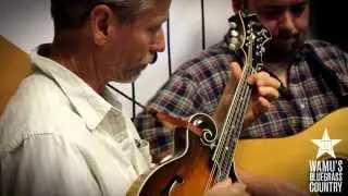 The David Thom Band - Homestead On The Farm [Live at WAMU's Bluegrass Country]