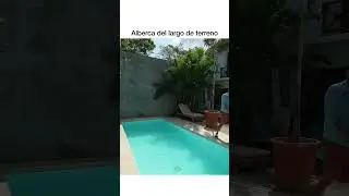Alberca del largo de terreno #viral #tendencia #shorts #casa #alberca #airbnb #palapa