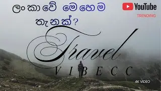 භයානක සතුන් සිටින කැලයක සංචාරයක් |A journey through a forest where terrifying animals live
