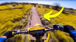 Exploring the Blooming Arizona Desert on my Dirtbike