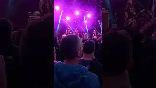 The Exploited - Beat The Bastards #shorts (Live @ Ruhrpott Rodeo H&uuml;nxe/Germany 2025)