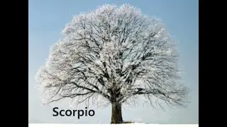SCORPIO♏: HOW TO SURVIVE THE SOUTH NODE IN SCORPIO ENERGIES!! FEB 2022